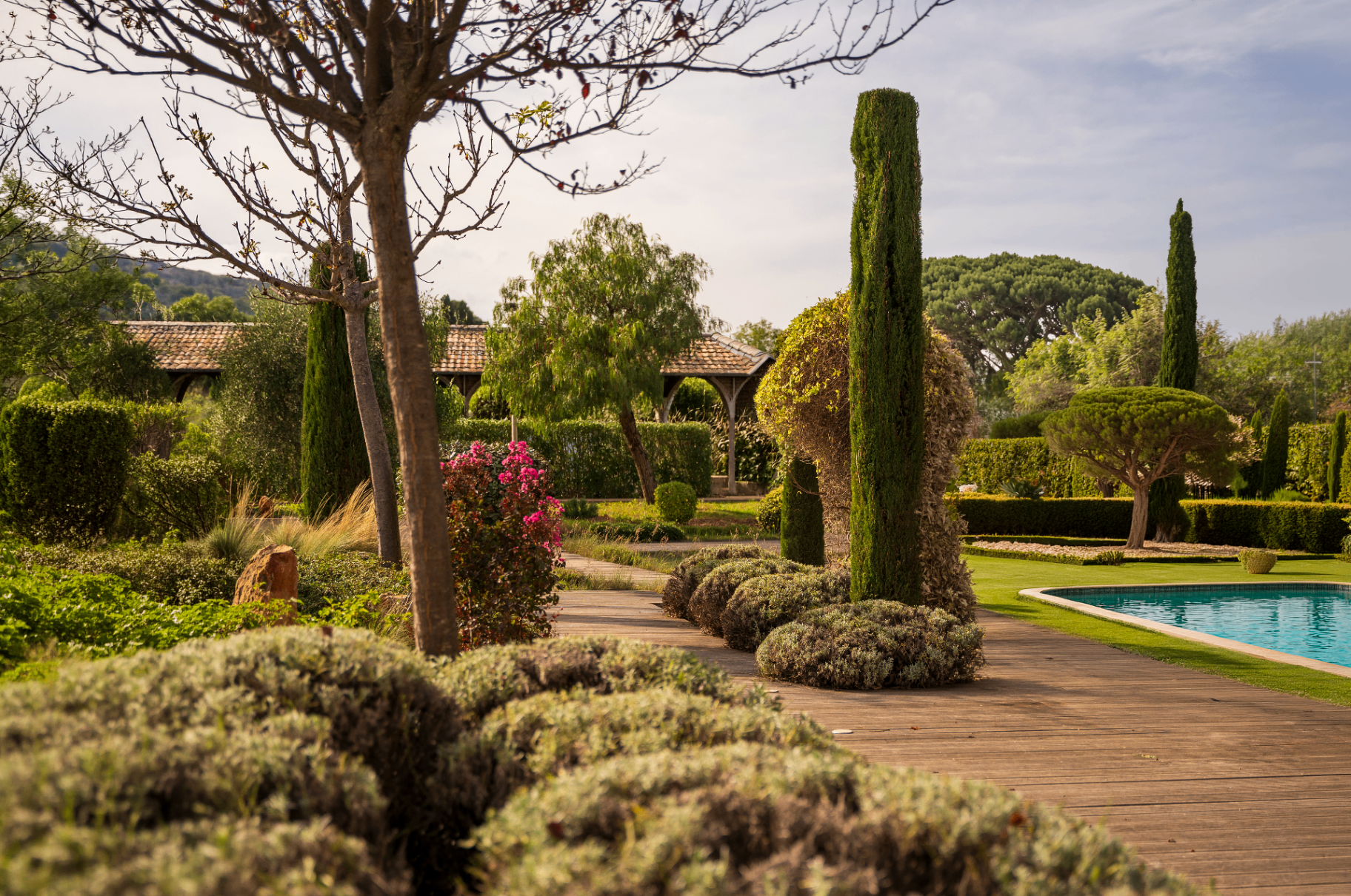 Jardin d'architecte en Provence au lever du jour