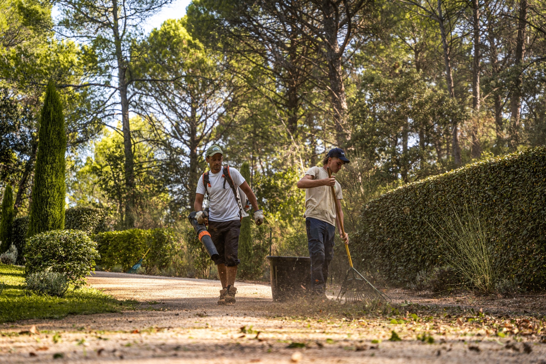 Équipe Sergeant Paysage en entretien d'une allée
